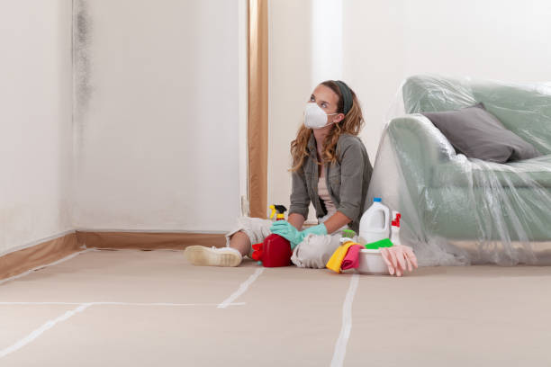 Reliable Mold Cleanup contractor in Yacolt, WA by Cheap Mold Removal